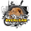 Audio Overload - Аудио Оувърлоуд